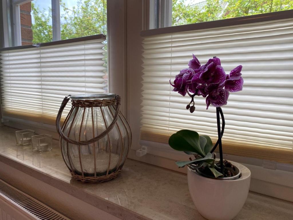 Haus Jenny Wohnung E1 Mit Terrasse 볼텐하겐 외부 사진